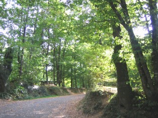 Forêt de Mervent avec ses circuits pédestres - équestres et VTT Office de Tourisme
